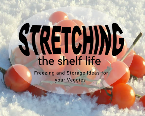 Stretching the Shelf Life